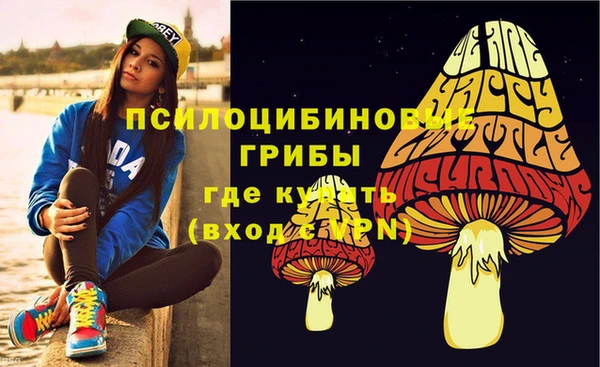 твердый Зерноград