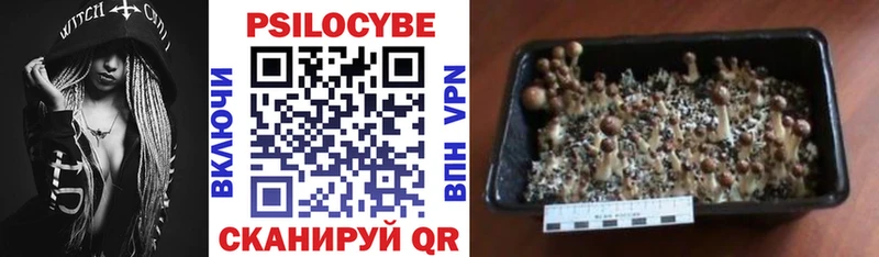 Купить где  Лакинск  Галлюциногенные грибы мухоморы 